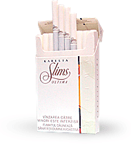 Buy Cheap Cigarettes Karelia Cream Slims