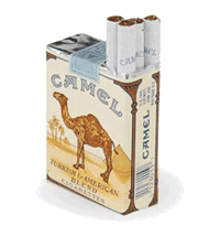 Camel Regular No Filter